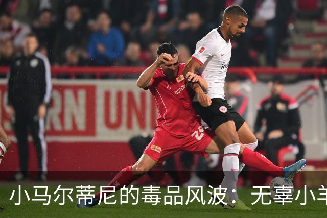 小马尔蒂尼的毒品风波：无辜小羊成功脱困