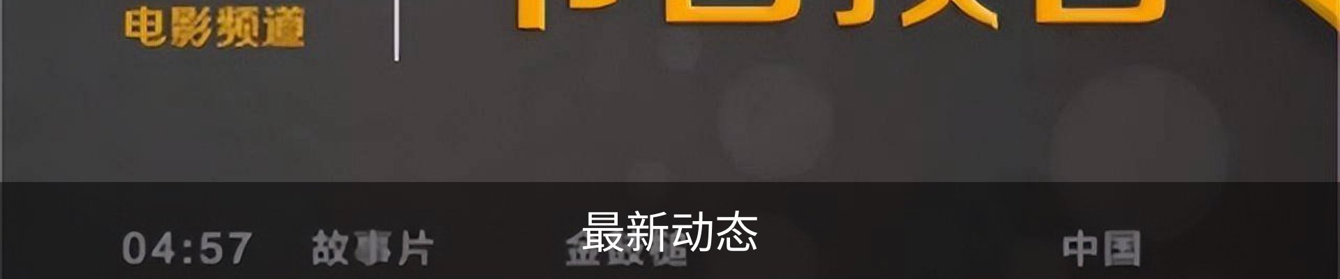 最新动态