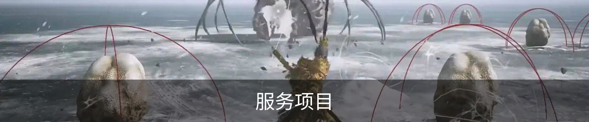 服务项目