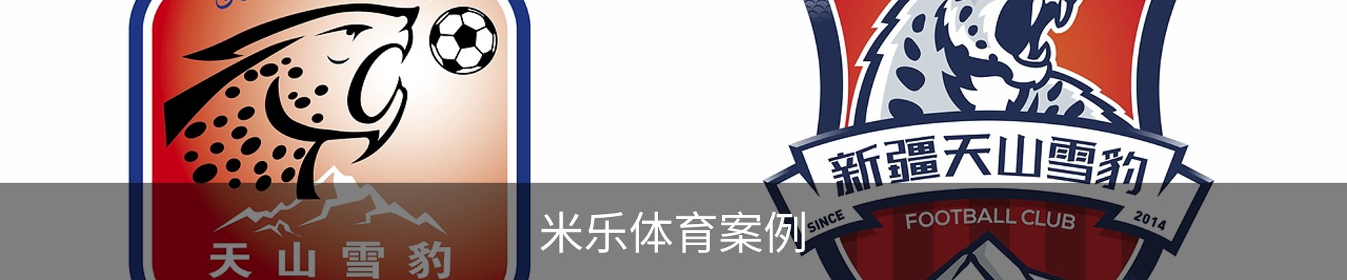 米乐体育案例